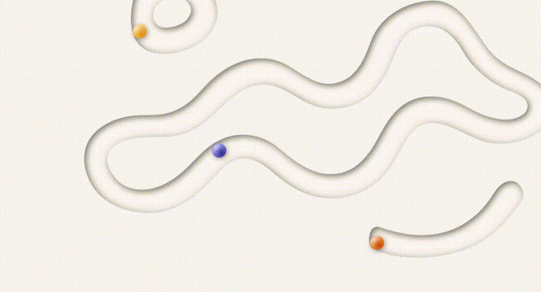 Trail Maze