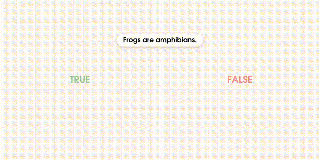True or False